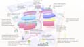 design amazing educational spaces with high end 3d rendering