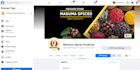 create and optimize facebook business page or fan page