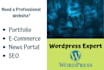 design and develop responsive website