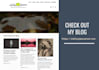 write blog posts and articles for your website