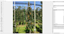 do image annotation with point