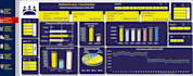 do expert excel database analysis and dashboards
