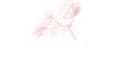 text that dissolves and is assembled