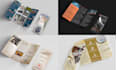 design professional business brochure, trifold brochure design