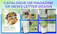 do high end business brochure design, bifold, trifold or company profile
