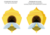 transform your logo into a vector format