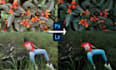color grade and retouch your images professionally