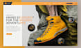 design and develop a professional website