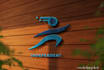 professional brand logo design