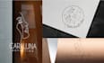 create luxury and beauty line art logo