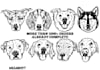 draw your cat,dog,and pet animal line art in 3 hours