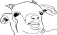 draw a shitty png image