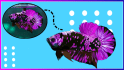 make your betta fish a vector in 12 hours