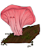 draw your own special mushroom fairy