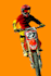 do photo background change and  color change