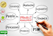 help in project management, accounting and finance and business plan