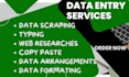 do fast typing, retype pages, pdf to word, pro typist