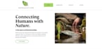write you dynamic SEO home page content