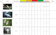 help you organize all your data