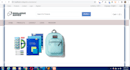 develop and customize professional PHP websites and web scripts