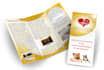make an eye catching tri fold brochure