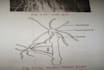 assist in biology assignment presentation article blog