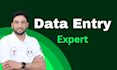 perform data entry, typing, and copy paste tasks