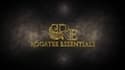 create luxury 3d diamond logo animation