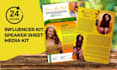 design professional press kit, epk, one sheet, media kit