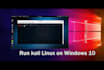 install kali linux on windows 10 using vmware or virtualbox
