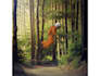 create image compositing or manipulation