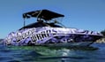 design mind blowing boat wrap for you