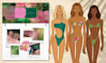 design a swimwear collection based on your vision