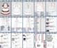 do advance fashion tech pack, sewing pattern, grading, print