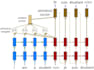 solve any machine learning, nlp, data science problem