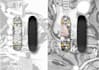 create custom skatedeck, snowdeck, and surfdeck graphic artwork