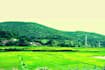 assist you anything related to vizag india trips