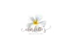 design feminine hand drawn logo
