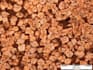 study sedimentology of rock thin sections