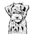 draw vector line art for your pet 24 hours
