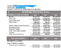 prepare accounts, financial statements, reports as required by you