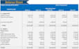 prepare professional project report