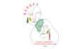design modern african inspired line art and illustrations