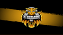 design amazing twitch stinger transition
