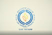 create a stunning custom logo animation, intro, and outro