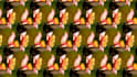 make flawless pattern designs