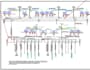 create any electrical project on autocad 2d and 3d