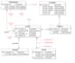 sql database design, er diagram, write sql queries