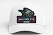 high quality embroidery digitizing service logo and custom designs