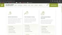 develop a professional wordpress website